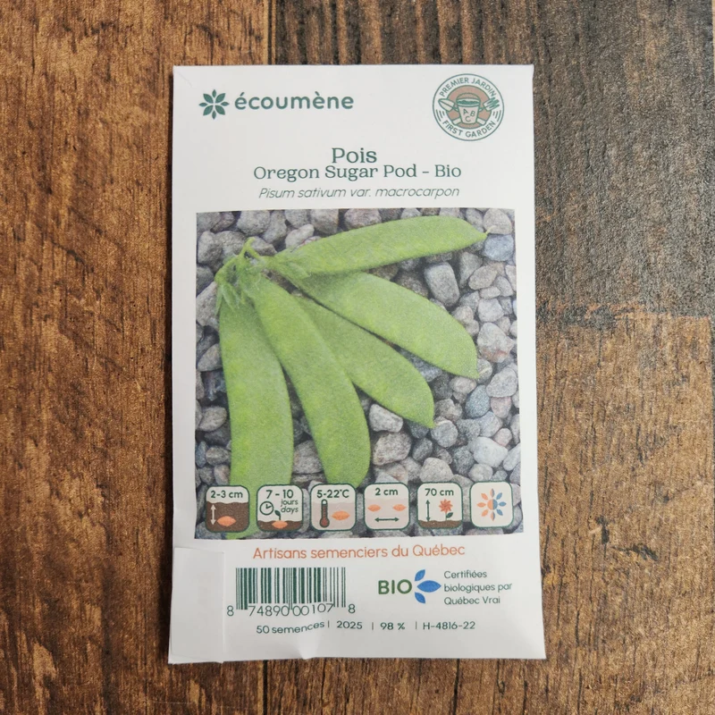 Pois ‘Oregon Sugar Pod’ ( Pisum sativum )