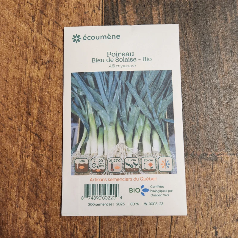 Poireau ‘Bleu de Solaise’ ( Allium ampeloprasum var. porrum )