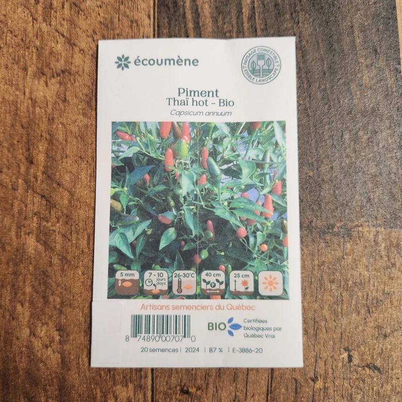 Piment fort ‘Thai Hot’ ( Capsicum annuum )