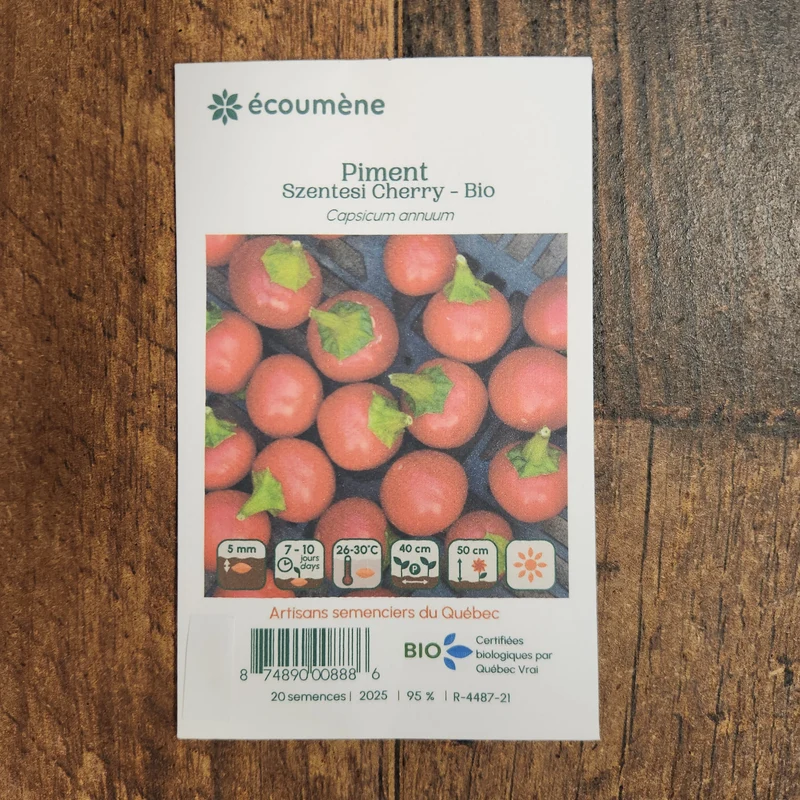 Piment fort ‘Szentesi Cherry’ ( Capsicum annuum )