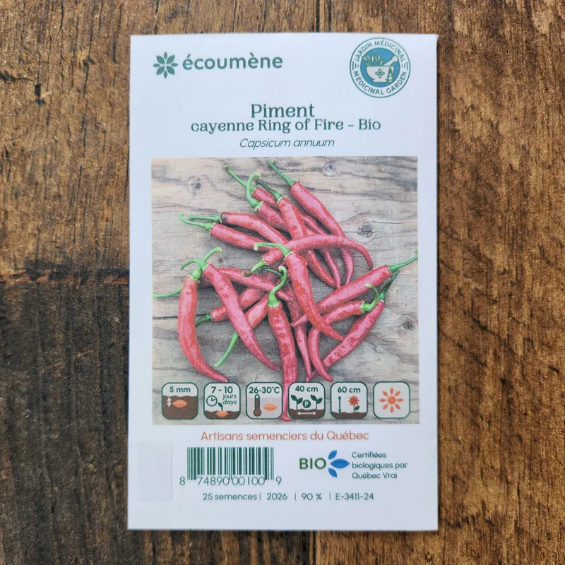 Piment fort ‘Cayenne Ring of Fire’ ( Capsicum annuum )