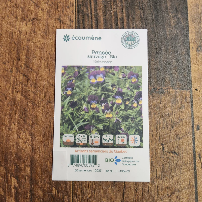Pensée Sauvage ( Viola tricolor )