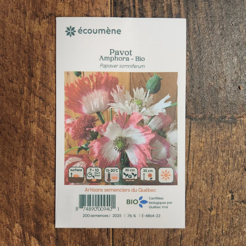 Pavot ‘Amphora’ ( Papaver somniferum )