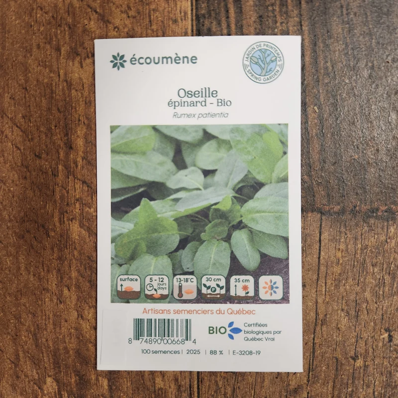 Oseille Épinard ( Rumex patientia )