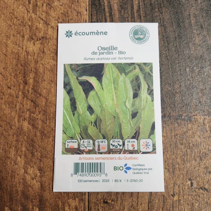 Oseille de Jardin ( Rumex acetosa var. hortensis )