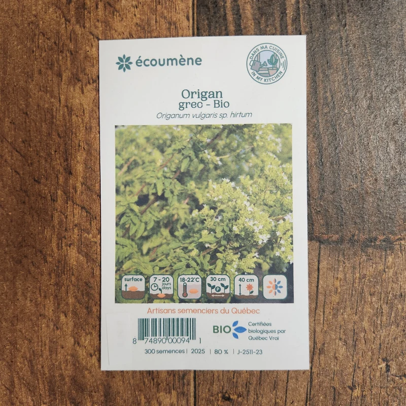 Origan grec ( Origanum vulgare subsp. hirtum )