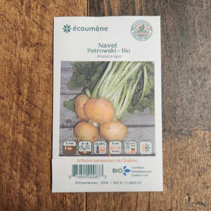 Navet ‘Petrowski’ ( Brassica rapa )
