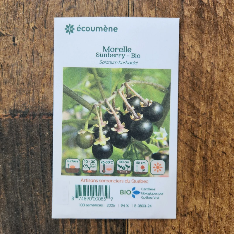 Morelle Sunberry ( Solanum retroflexum )