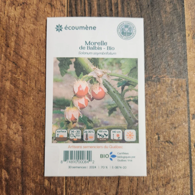 Morelle de Balbis ( Solanum sisymbriifolium )