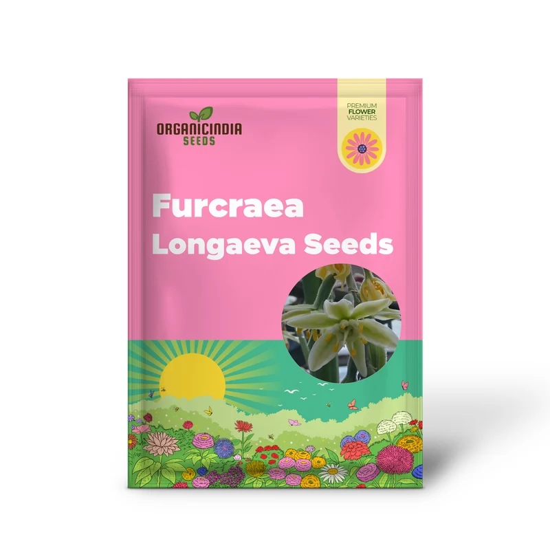 Furcraea Longaeva Seeds – Long-Lived Succulent for Exotic Garden Planting