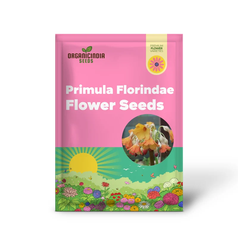 Primula Florindae Orange Flower Seeds For Planting, Adding Vibrant Color to Your Garden
