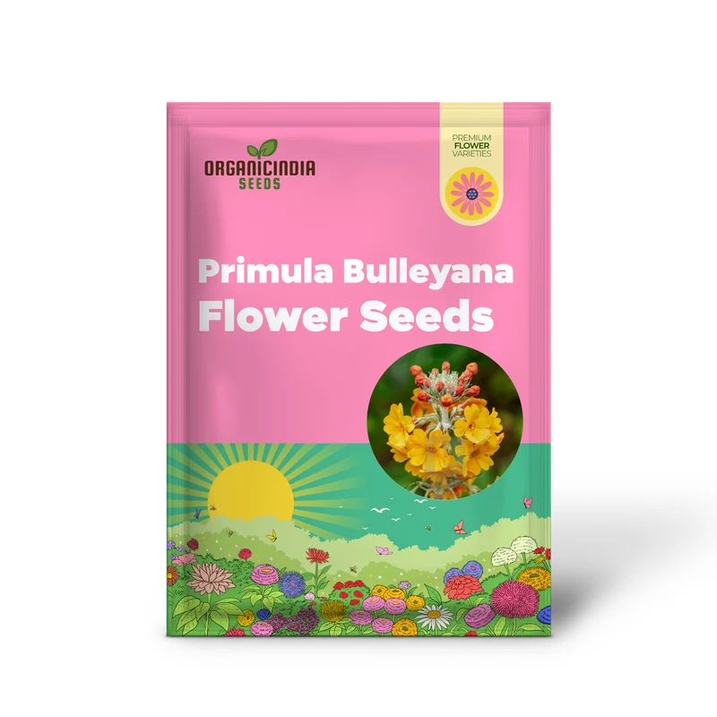 Primula Seeds (Primula Bulleyana Seeds) - Golden Radiance Blooms for Gardens