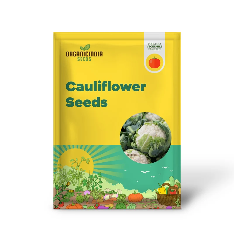 CAULIFLOWER ALL YEAR ROUND Seeds for Year-Round Gardening | Buy Seeds Online