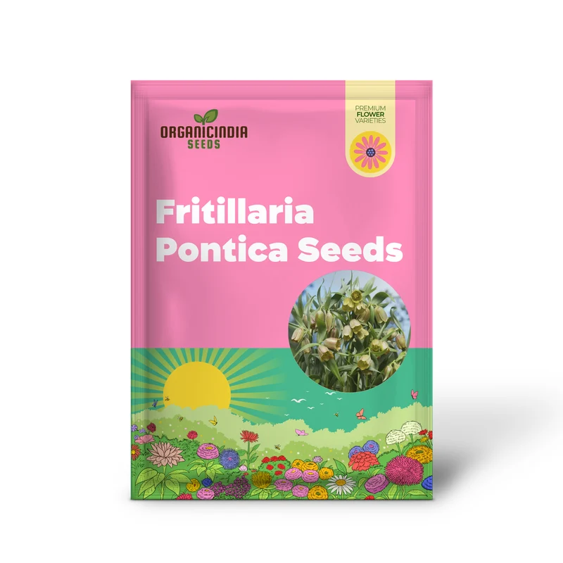Fritillaria Pontica Seeds - Planting Perfection for Your Garden
