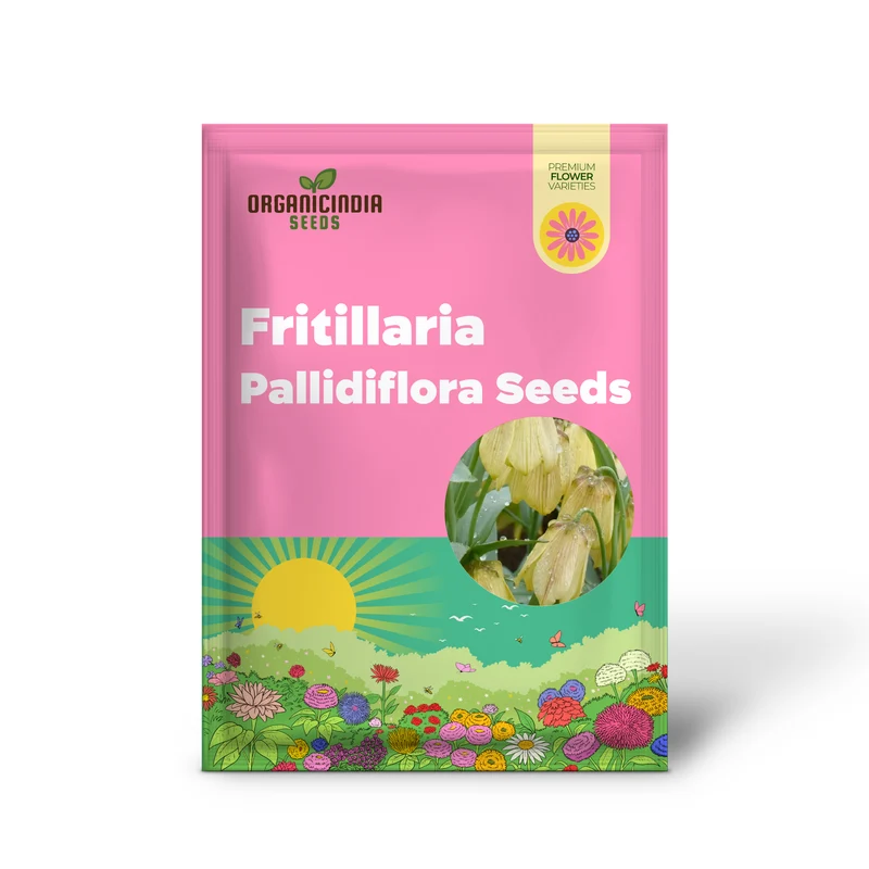 Buy Fritillaria Pallidiflora Seeds for Your Garden, Planting Made Easy