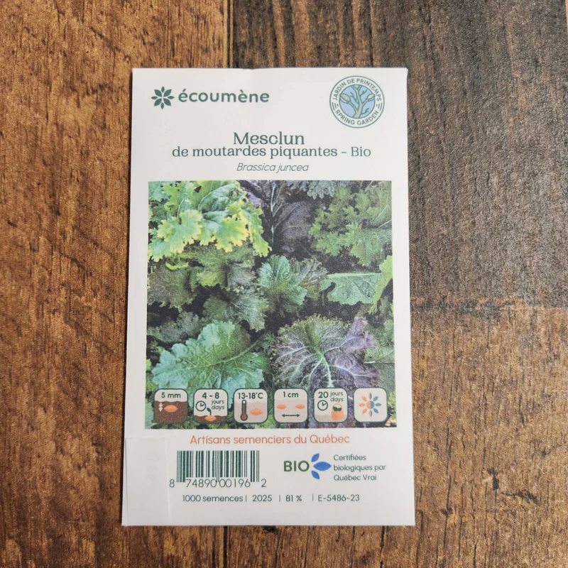 Mesclun de Moutardes Piquantes ( Brassica spp. )