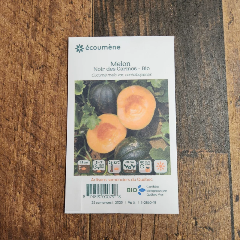 Melon ‘Noir des Carmes’ ( Cucumis melo )