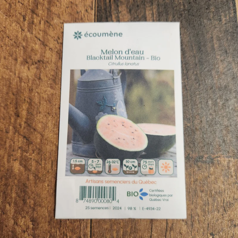 Melon deau ‘Blacktail Mountain’ ( Citrullus lanatus )
