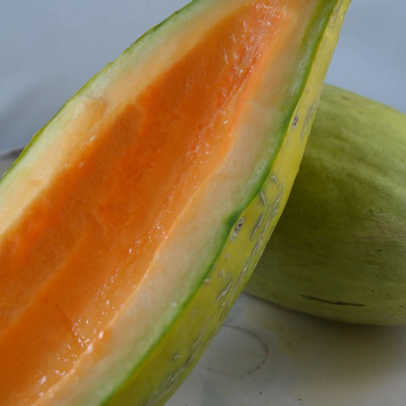 Melon ‘Banana’ ( Cucumis melo )