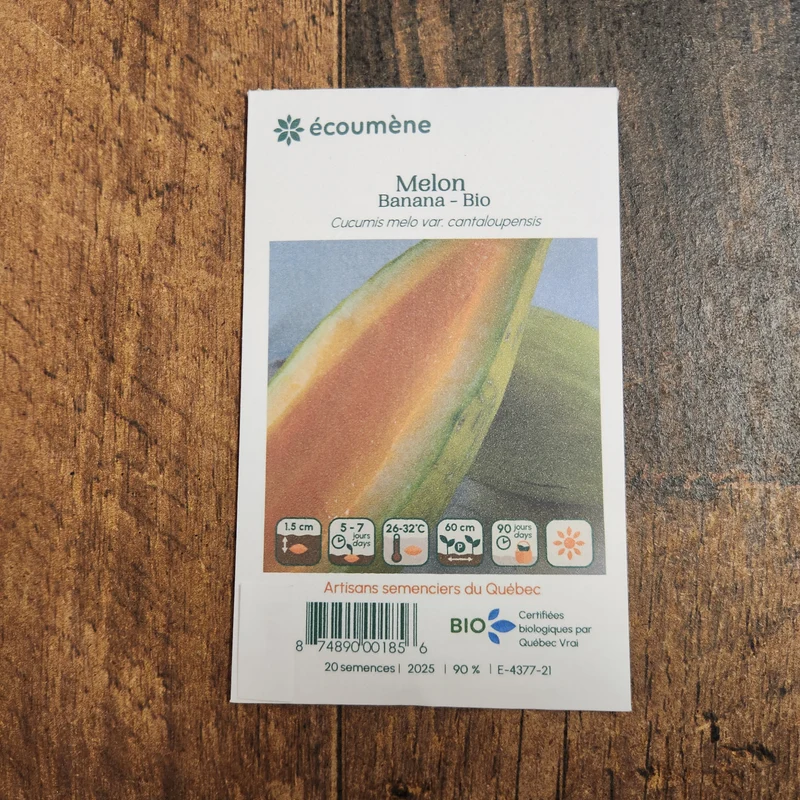 Melon ‘Banana’ ( Cucumis melo )