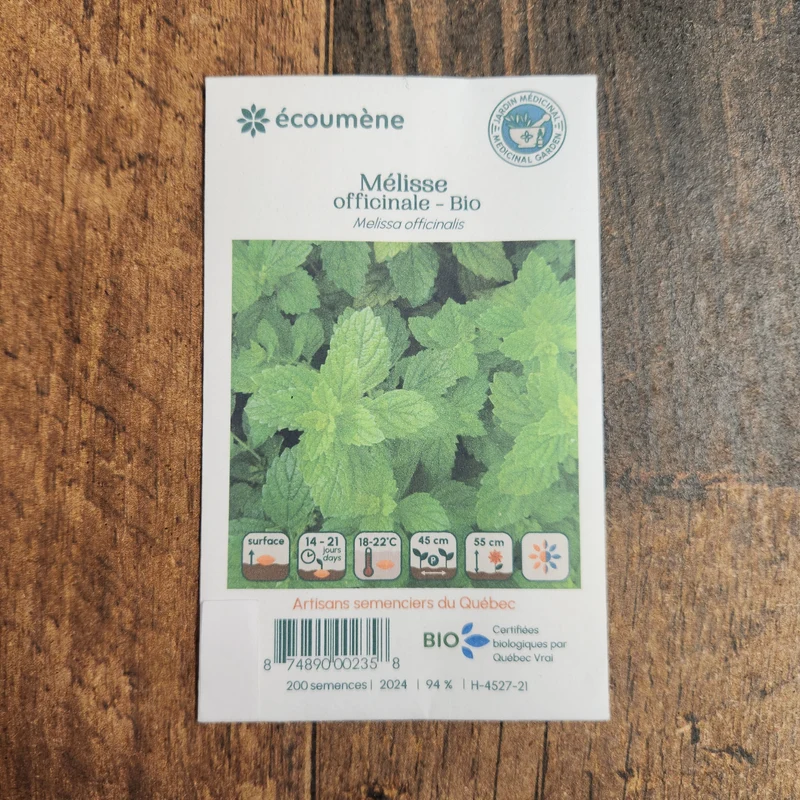 Mélisse officinale ( Melissa officinalis )