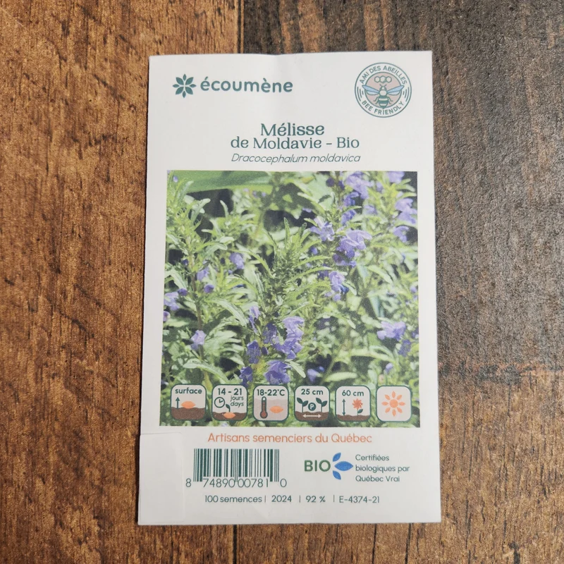 Mélisse de Moldavie ( Dracocephalum moldavica )
