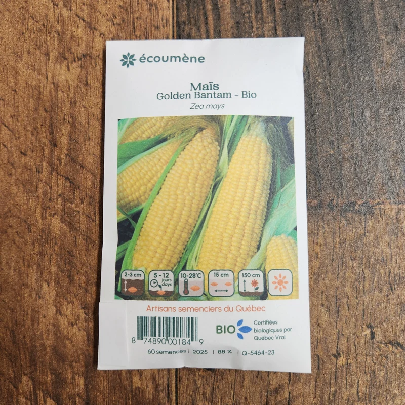 Maïs ‘Golden Bantam’ ( Zea mays )