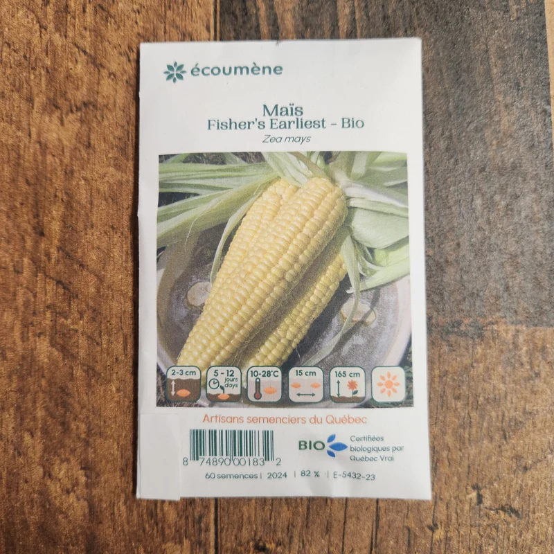 Maïs ‘Fisher’s Earliest’ ( Zea mays )