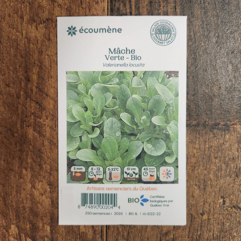 Mâche Verte ( Valerianella locusta )