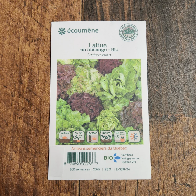 Laitue en mélange ( Lactuca sativa )