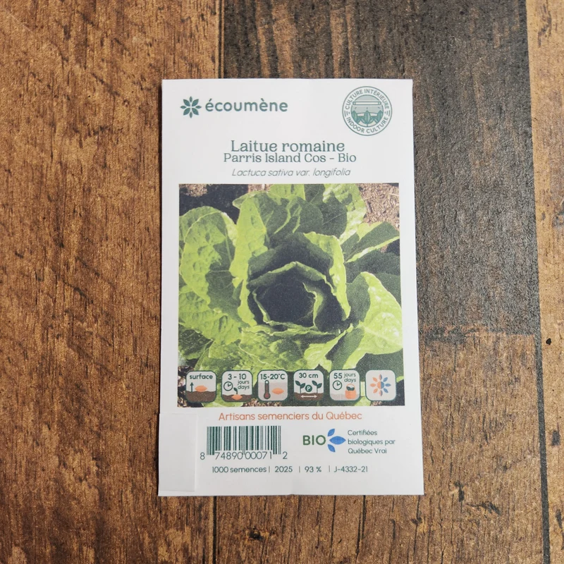 Laitue Romaine ‘Parris Island Cos’ ( Lactuca sativa )