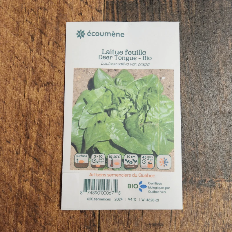 Laitue Feuille ‘Deer Tongue’ ( Lactuca sativa )