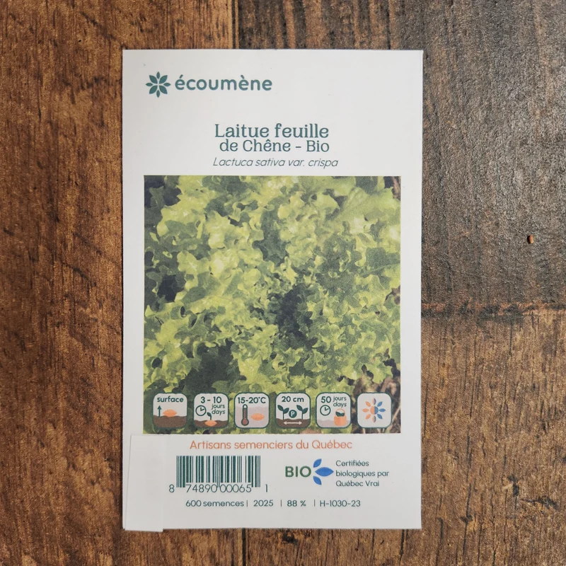 Laitue Feuille de Chêne ( Lactuca sativa )