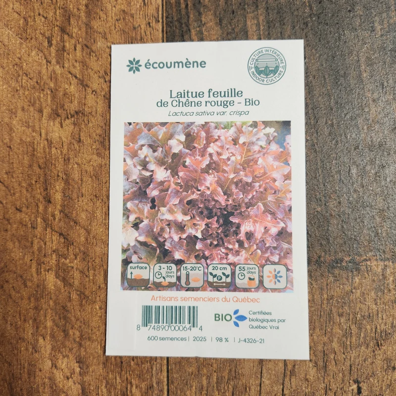 Laitue Feuille de Chêne Rouge ( Lactuca sativa )
