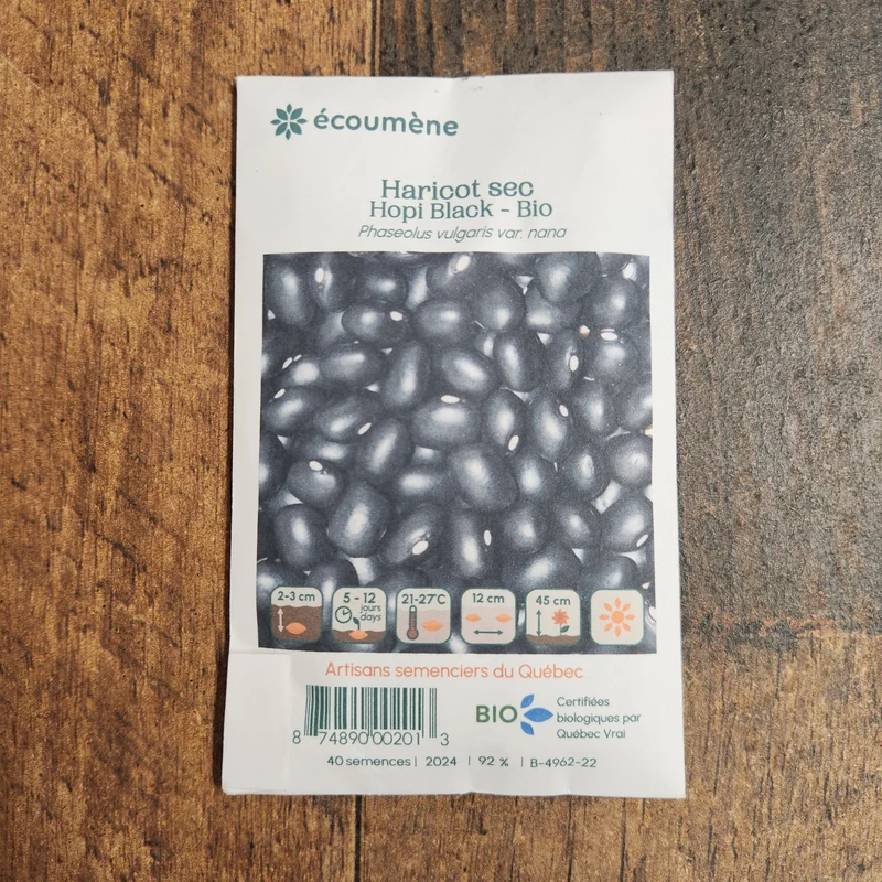 Haricot Sec ‘Hopi Black’ ( Phaseolus vulgaris )
