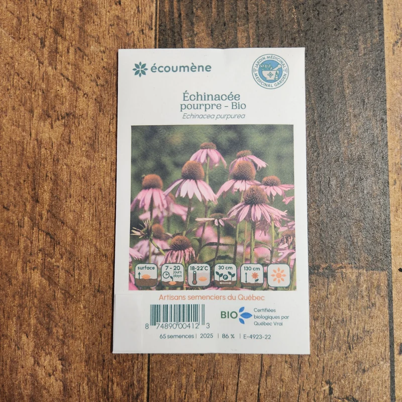 Échinacée Pourpre ( Echinacea purpurea )