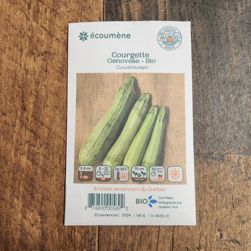 Courgette ‘Genovese’ ( Cucurbita pepo )