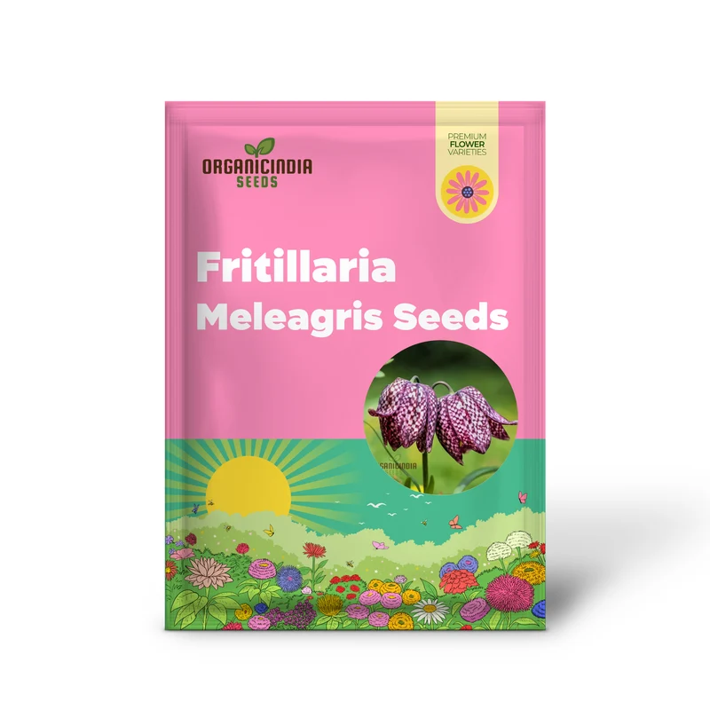 Fritillaria Meleagris Seeds - Exquisite Checkered Lily for Planting in Gardens and Naturalizing