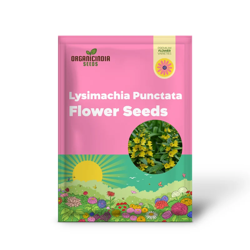 Lysimachia Punctata Flower Seeds, Vibrant and Hardy Garden Blooms, Premium Seeds for Gardening
