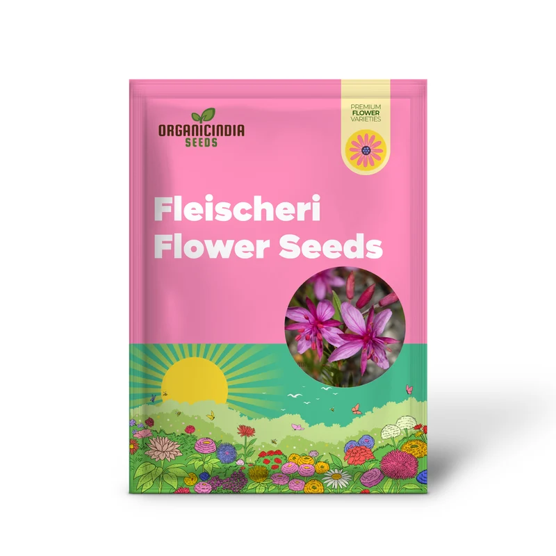 Epilobium Fleischeri Flower Seeds For Planting, Graceful Wildflowers for Your Garden