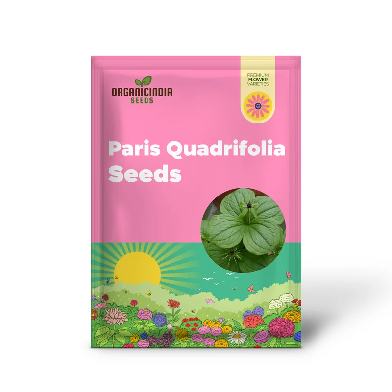 Paris Quadrifolia Seeds for Unique and Enchanting Gardens - Perfect for Gardening Enthusiasts Seeking Rare and Unusual Seeds