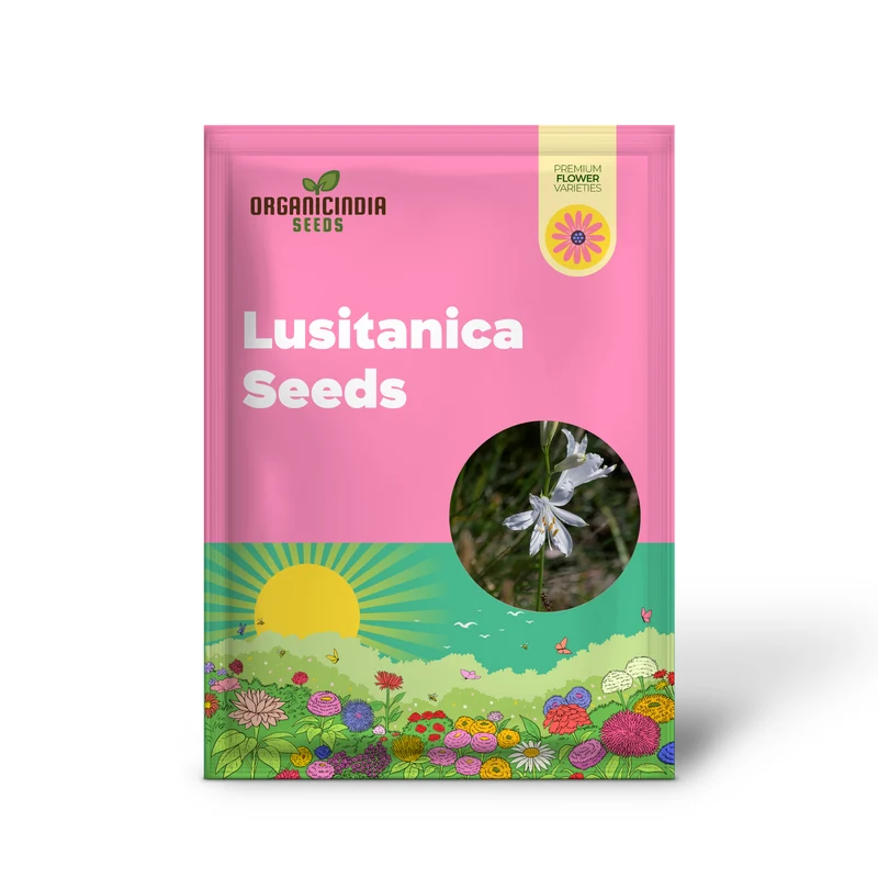 Paradisea Lusitanica Seeds for Gardening Enthusiasts â€“ Rare, Exotic Blooms to Elevate Your Garden with Stunning White Flowers
