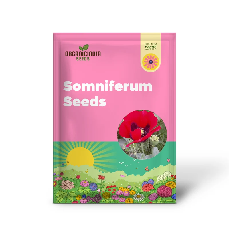 Papaver Somniferum Ultimate Mixture Seeds for Spectacular Gardening: Premium Quality, Vibrant Blooms, and Easy Cultivation for Your Garden Oasis