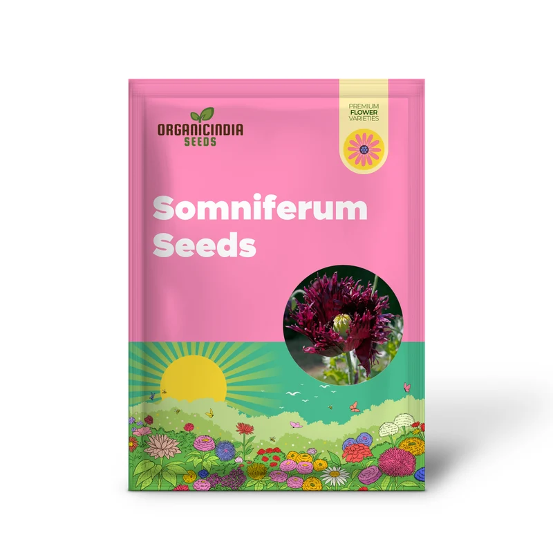Papaver Somniferum 'Black Swan' Seeds for Stunning Garden Blooms | Rare Opium Poppy Variety for Gardening Enthusiasts