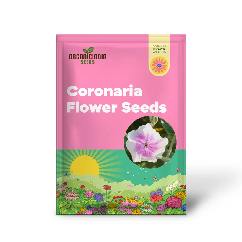 Lychnis Coronaria 'Angel's Blush' Flower Seeds Delicate and Unique Garden Blooms, Premium Seeds for Gardening