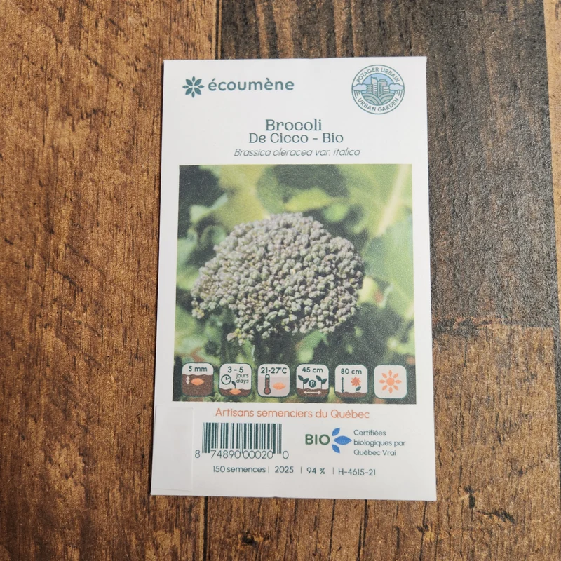 Brocoli ‘De Cicco’ ( Brassica oleracea var. italica )