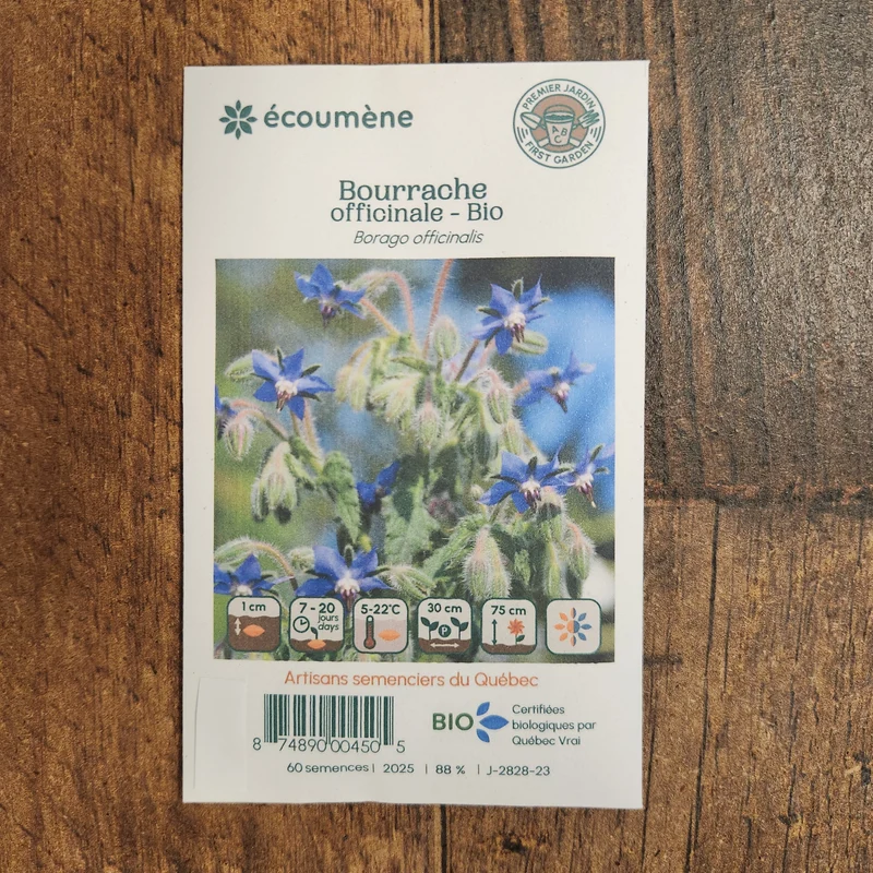 Bourrache officinale ( Borago officinalis )
