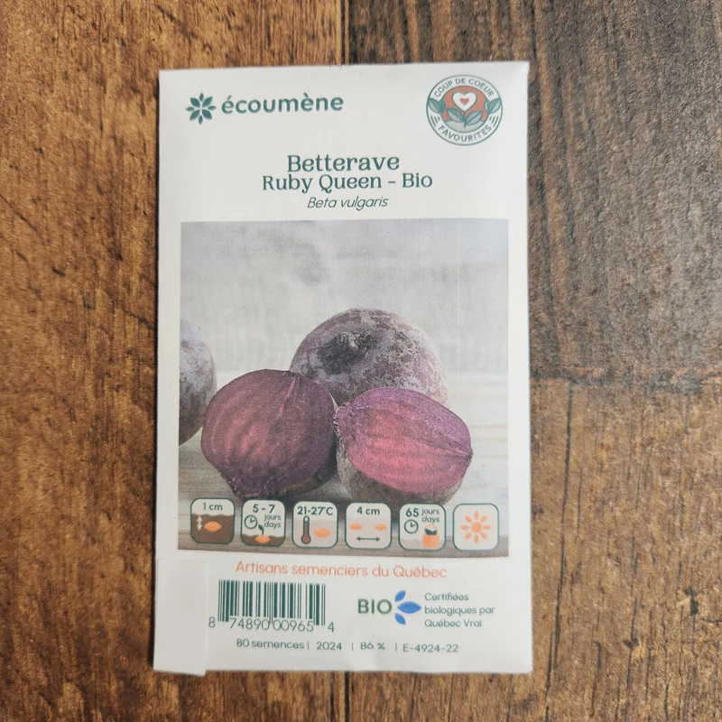 Betterave ‘Ruby Queen’ ( Beta vulgaris )