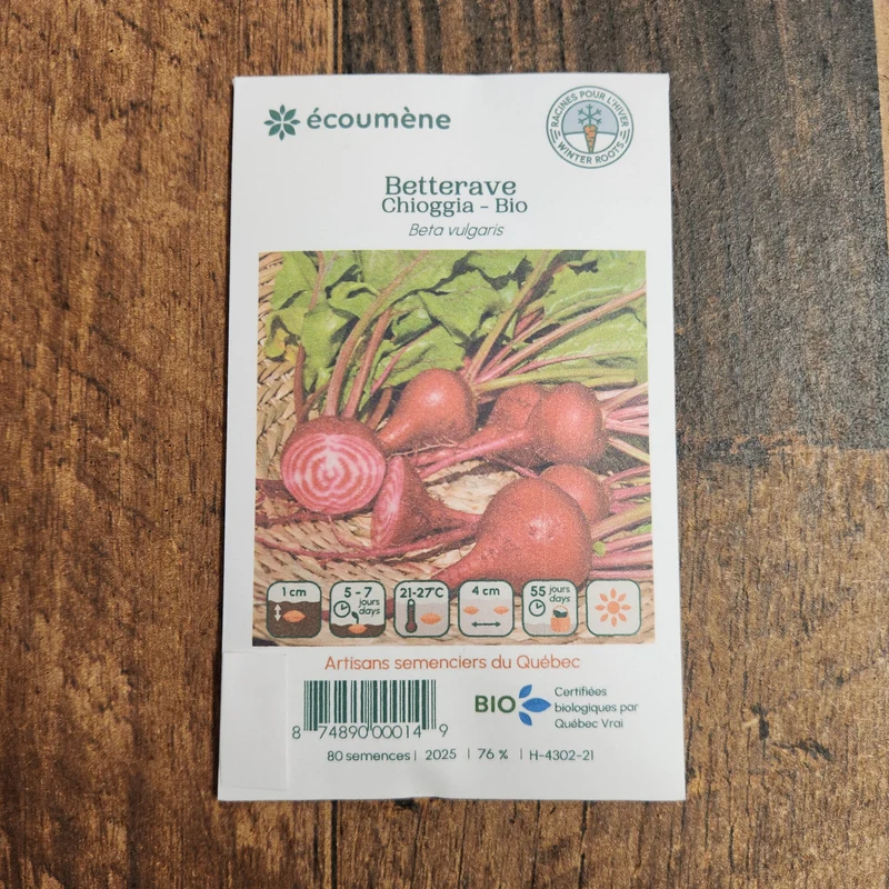Betterave ‘Chioggia’ ( Beta vulgaris )