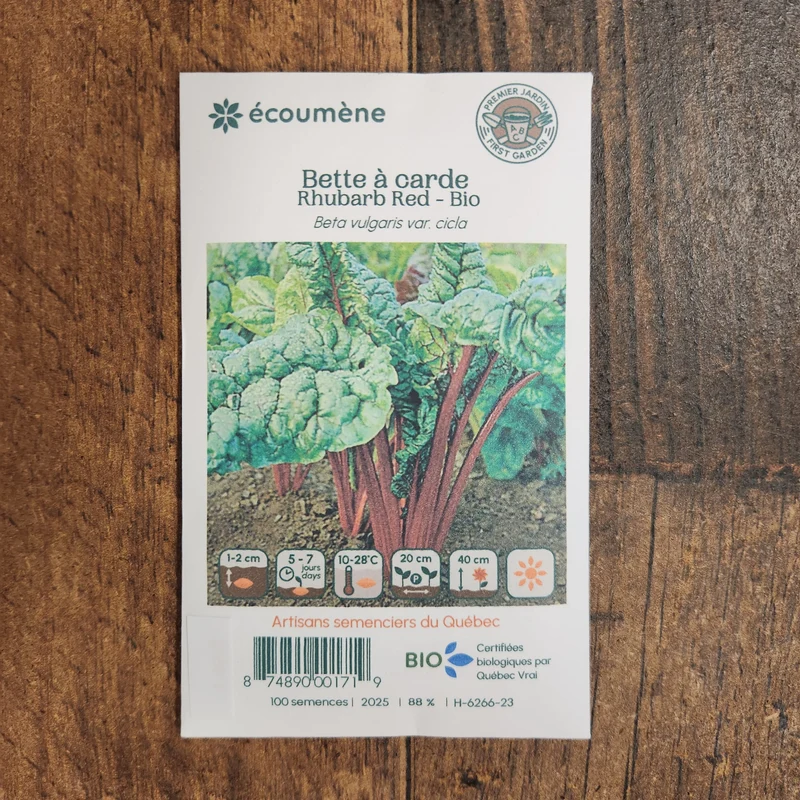 Bette à carde ‘Rhubarb Red’ ( Beta vulgaris var. cicla )